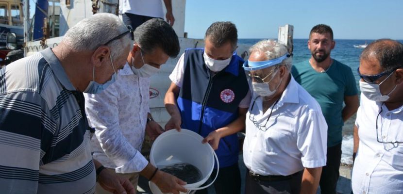 Dikili’de Yavru Balıklar Denizle Buluştu