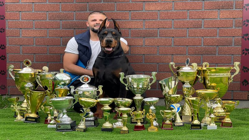 Ünlülerin Köpek Danışmanı Erdem Ayaz