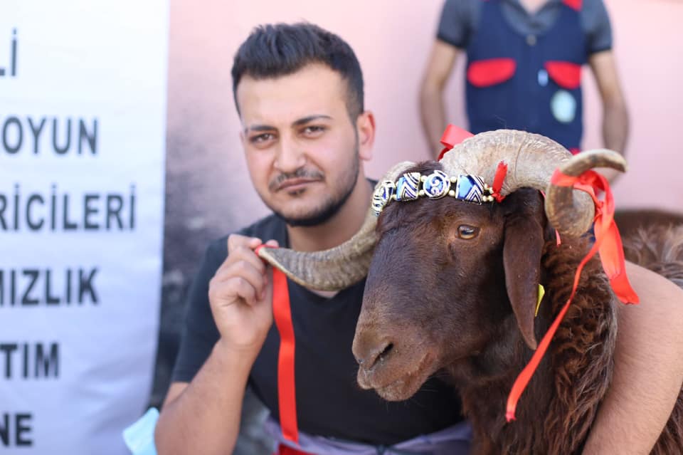 Bir Sevda Samancı, ayakta, hayvan, açık hava ve şunu diyen bir yazı 'OYUN İCİLERİ IZLIK TIM E' görseli olabilir